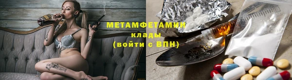 прущие грибы Алзамай