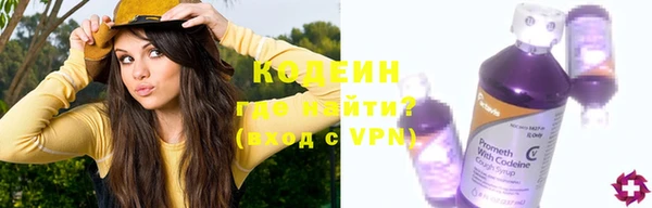 прущие грибы Алзамай