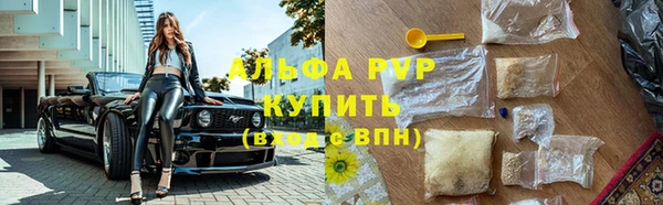 прущие грибы Алзамай