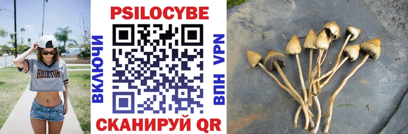 Галлюциногенные грибы Psilocybine cubensis  купить наркотики сайты  Когалым 